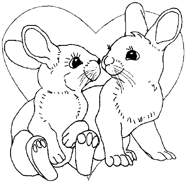 lapins amoureux