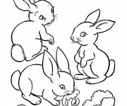 Coloriage Les Petits Lapins adorables mangent