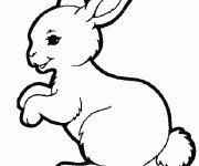 Coloriage Petit Lapin Mignon vecteur