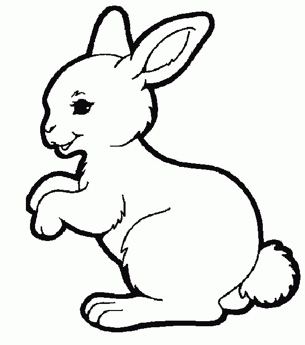 Coloriage Petit Lapin Mignon Vecteur Dessin Gratuit à Imprimer