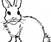 Coloriage Portrait d'un Lapin