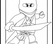 Coloriage Lego Ninjago Lloyd encadré