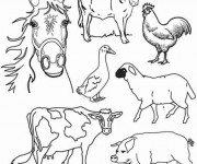 Coloriage et dessins gratuit Animaux de la Ferme à imprimer