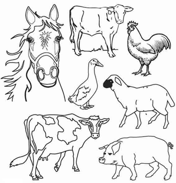 Coloriage Animaux De La Ferme Dessin Gratuit à Imprimer