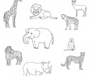 Coloriage Animaux de La For&ecirc;t simple