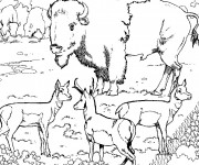 Coloriage Animaux Sauvages au Zoo