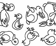 Coloriage carnards et lapins mignons
