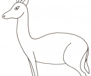 Coloriage Gazelle Sauvage