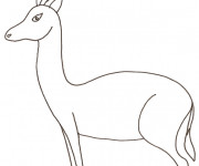 Coloriage Gazelle Sauvage dessin gratuit à imprimer