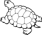 Coloriage Grosse Tortue de Terre