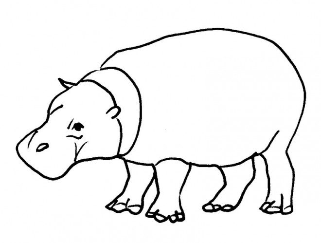 Coloriage D Animaux D Afrique