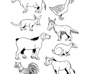 Coloriage Les Animaux de La ferme humoristique