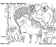 Coloriage Les Animaux en Afrique