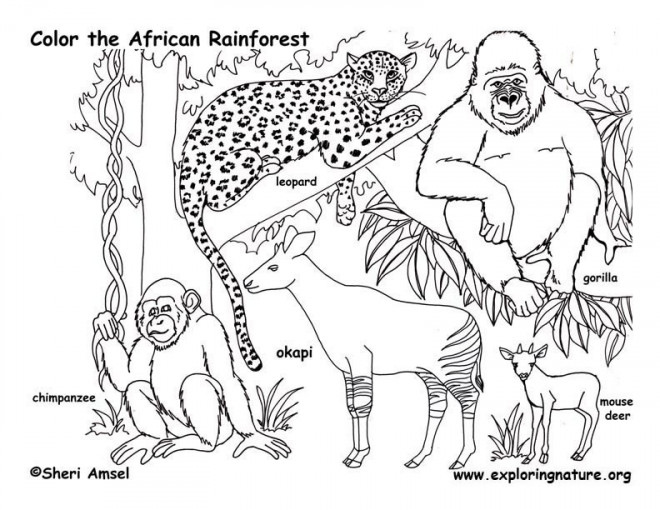 Coloriage et dessins gratuits Les Animaux en Afrique à imprimer