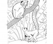 Coloriage Les Animaux sur l'arbre