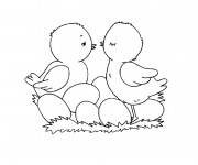 Coloriage Les Poussins nouveau n&eacute;s