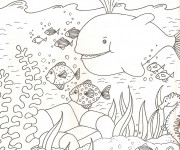 Coloriage Mer et Poissons