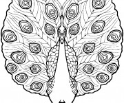 Coloriage Paon &agrave; d&eacute;corer