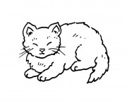 Coloriage Un Chat domestique
