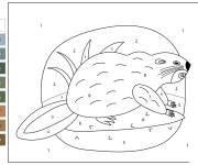 Coloriage Activit&eacute; Castor par num&eacute;ro