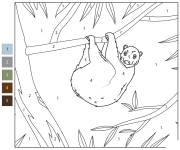 Coloriage Animal L&eacute;mur volant des Philippines par num&eacute;ro