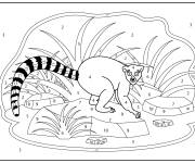 Coloriage Animal Maki num&eacute;rot&eacute;