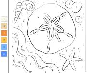 Coloriage Animaux de la plage par num&eacute;ro