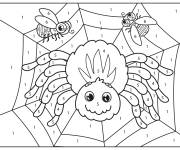 Coloriage Araign&eacute;e avec deux mouches
