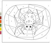 Coloriage Araign&eacute;e facile num&eacute;rot&eacute;
