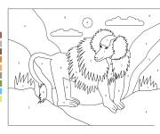 Coloriage Babouin cp num&eacute;rot&eacute; de 1-9