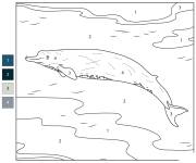 Coloriage Baleine &agrave; bec de Baird num&eacute;rot&eacute;