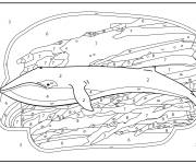 Coloriage Baleine r&eacute;aliste par num&eacute;ro