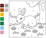 Coloriage B&eacute;b&eacute; Lapin de foret