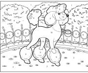 Coloriage Belle chien Caniche dans le jardin par num&eacute;ro