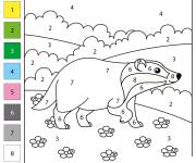Coloriage Blaireau sur des fleurs par num&eacute;ro