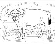 Coloriage Buffle adulte num&eacute;rot&eacute; pour ce1