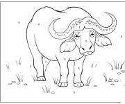 Coloriage Buffle num&eacute;rot&eacute; de 1-8