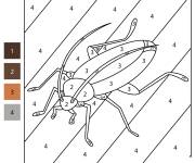 Coloriage Cafard facile par num&eacute;ro