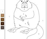 Coloriage Castor num&eacute;rot&eacute; de 1-5