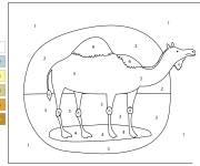 Coloriage Chameau de 1-6