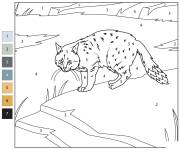 Coloriage Chat des montagnes par num&eacute;ro
