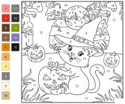 Coloriage Chat et citrouille d'Halloween par num&eacute;ro