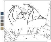 Coloriage Chauve-souris &agrave; t&ecirc;te de marteau num&eacute;rot&eacute;