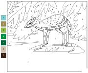 Coloriage Chevrotain d'eau par num&eacute;ro
