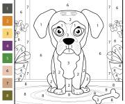 Coloriage Chien Boxer par num&eacute;ro
