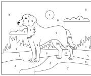 Coloriage Chien de la compagne num&eacute;rot&eacute; de 1-10
