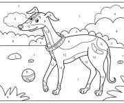 Coloriage Chien Levrette par num&eacute;ro