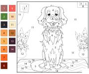 Coloriage Chien Retriever par num&eacute;ro