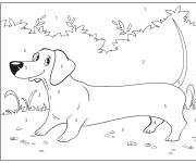 Coloriage Chien Teckel s'amusant num&eacute;rot&eacute;