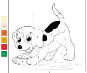 Coloriage Chiot Beagle num&eacute;rot&eacute;